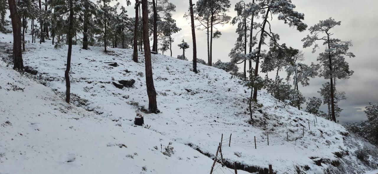 The Ranikhet Continental Hotel ภายนอก รูปภาพ